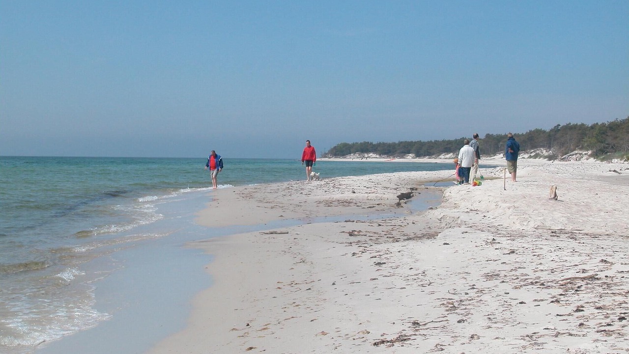 Photo of Others in Spidsegard