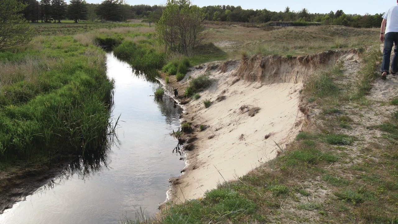 Photo of Others in Aalbaek