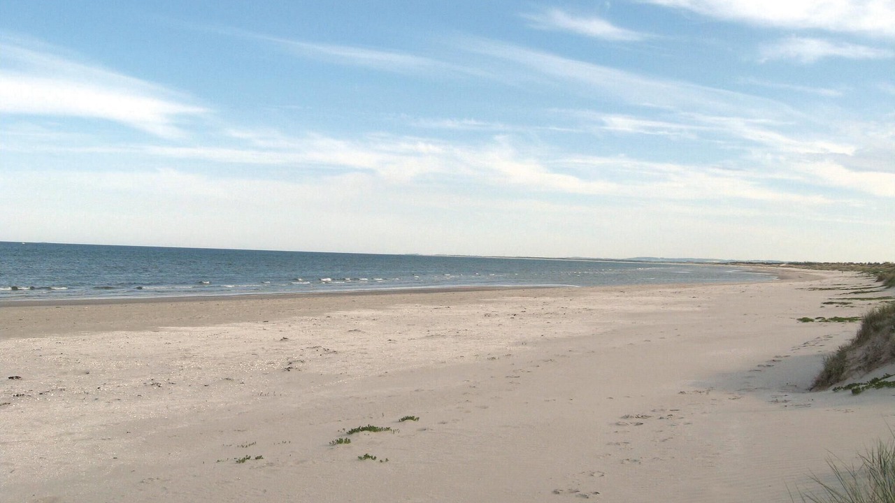 Photo of Others in Aalbaek