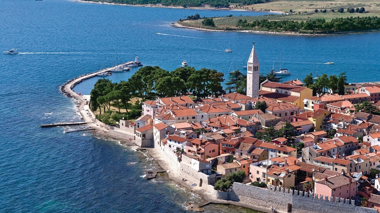 Photo of Others in Novigrad