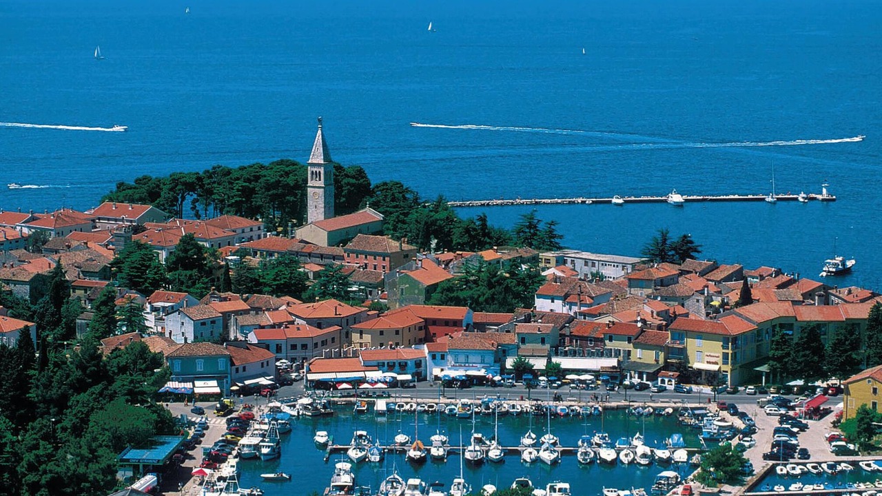 Photo of Others in Novigrad