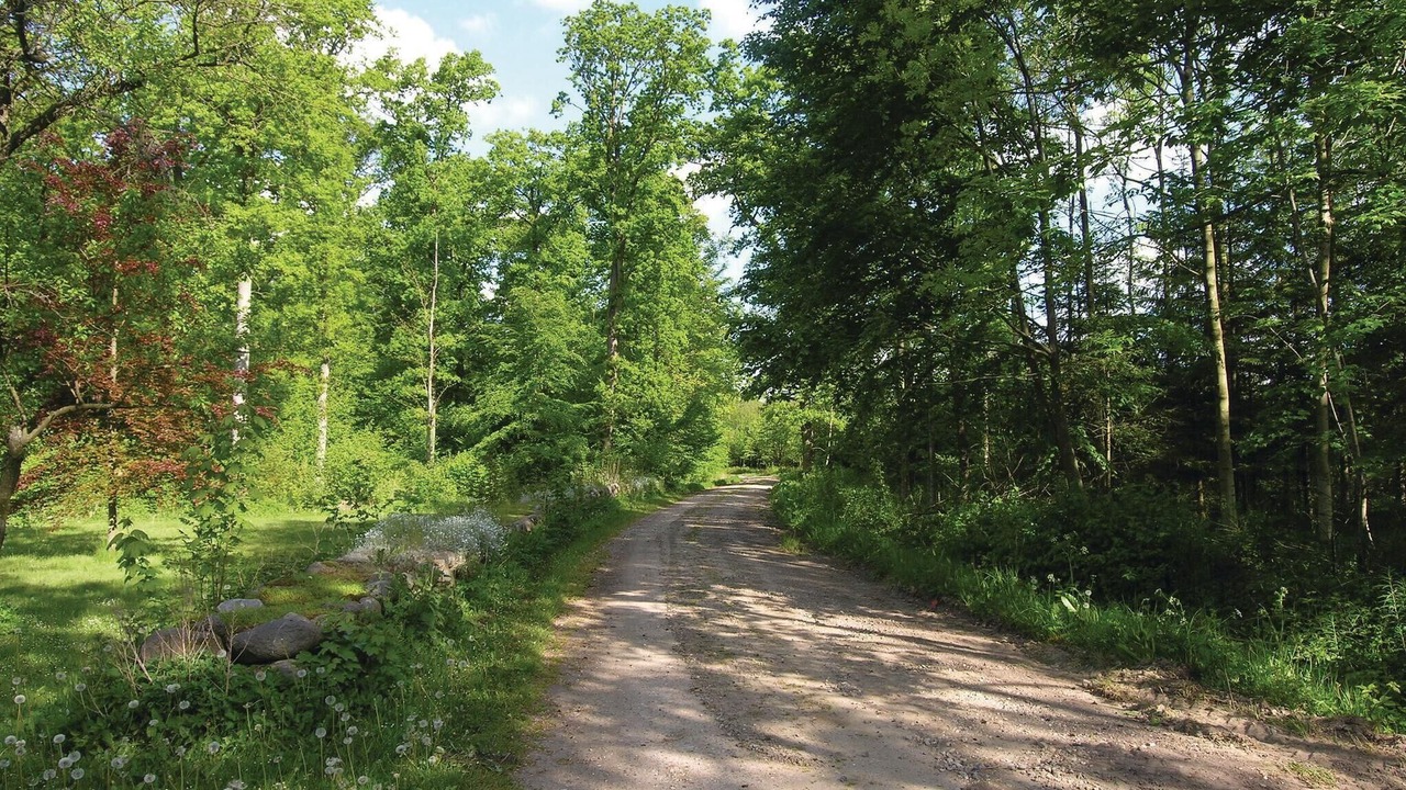 Photo of Others in Gudbjerg Sydfyn