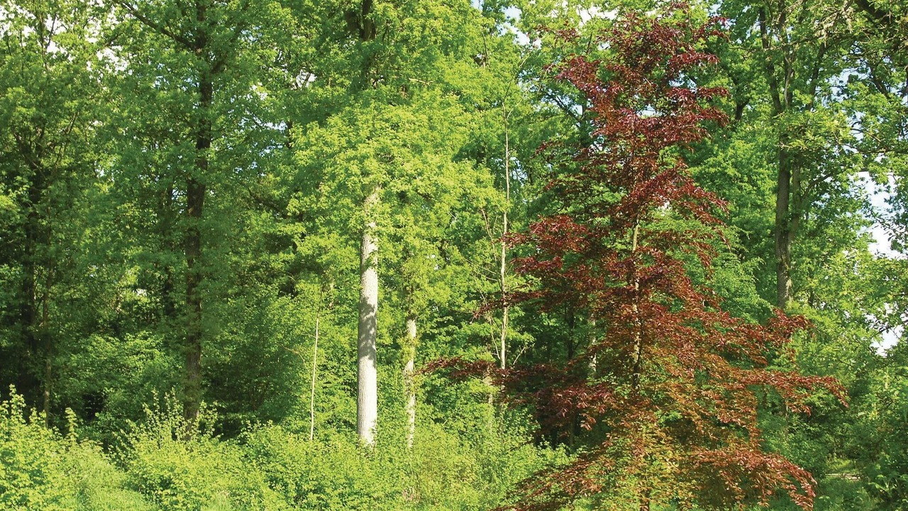 Photo of Others in Gudbjerg Sydfyn