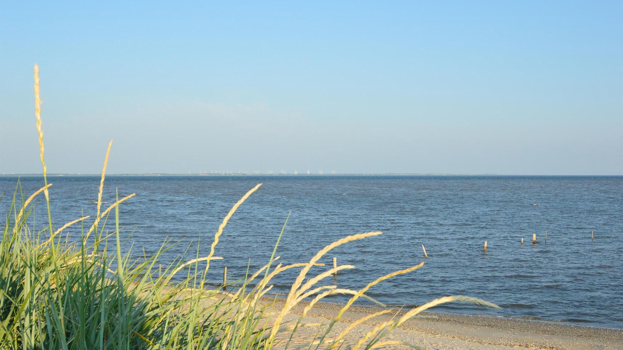 Photo of Others in Sønderstrand