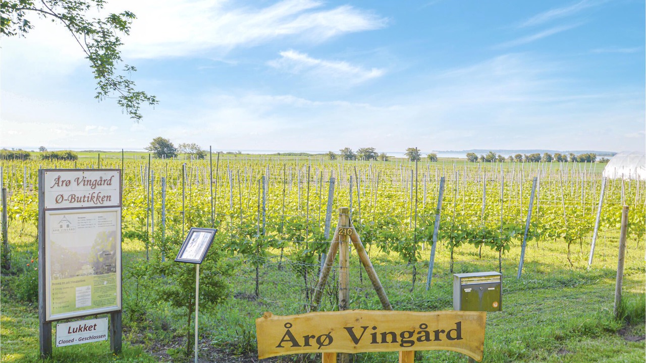 Photo of Others in Arø