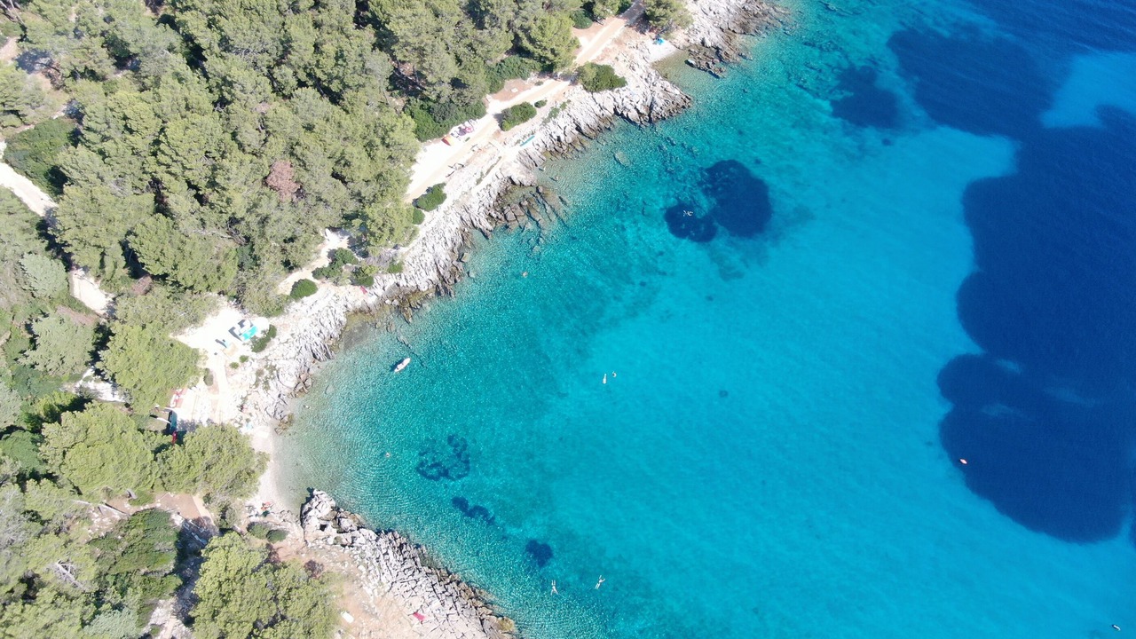 Photo of Others in Cove Murtar