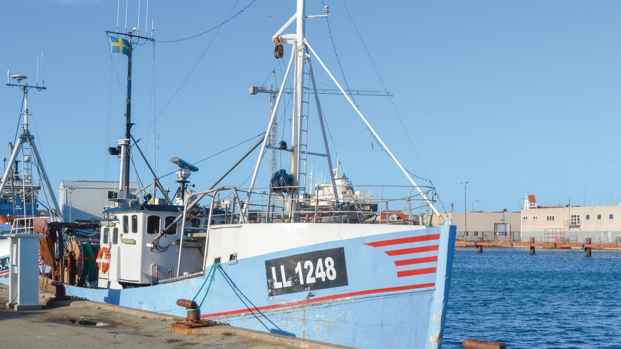 Photo of Others in Skagen