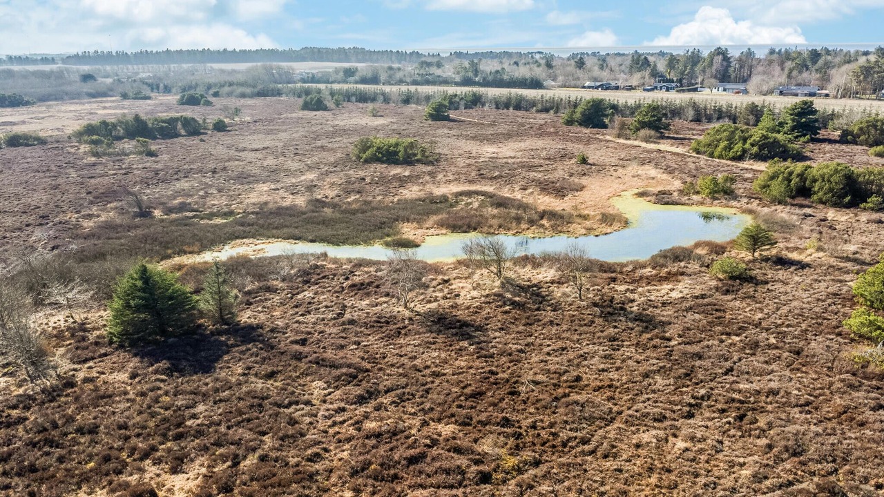 Photo of Others in Skaven Strand