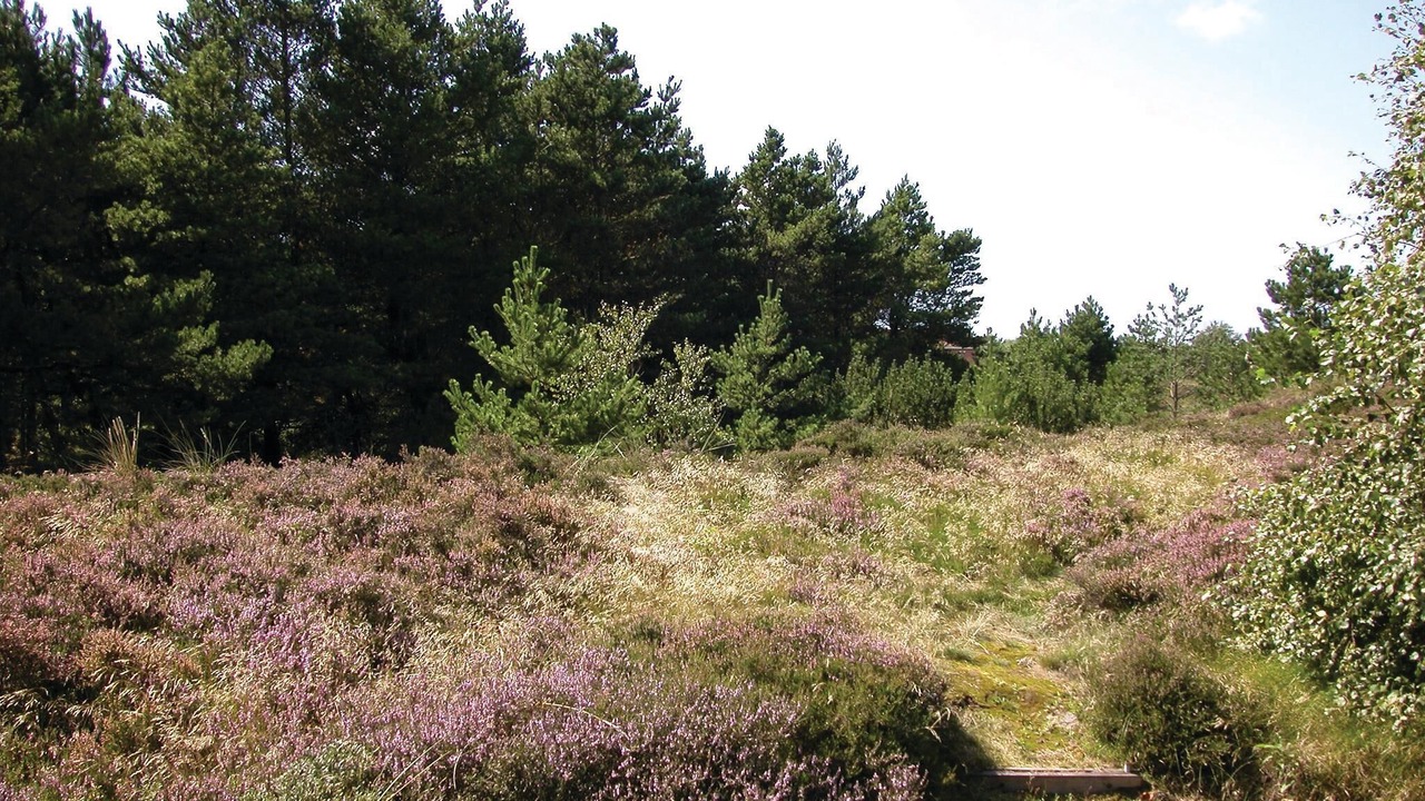 Photo of Others in Toftum