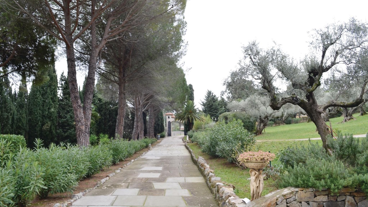 Photo of Others in Toulon