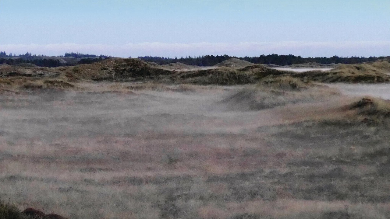 Photo of Others in Lild Strand