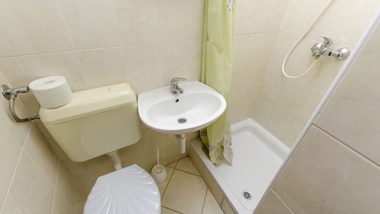 Photo of Bathroom in Pirovac