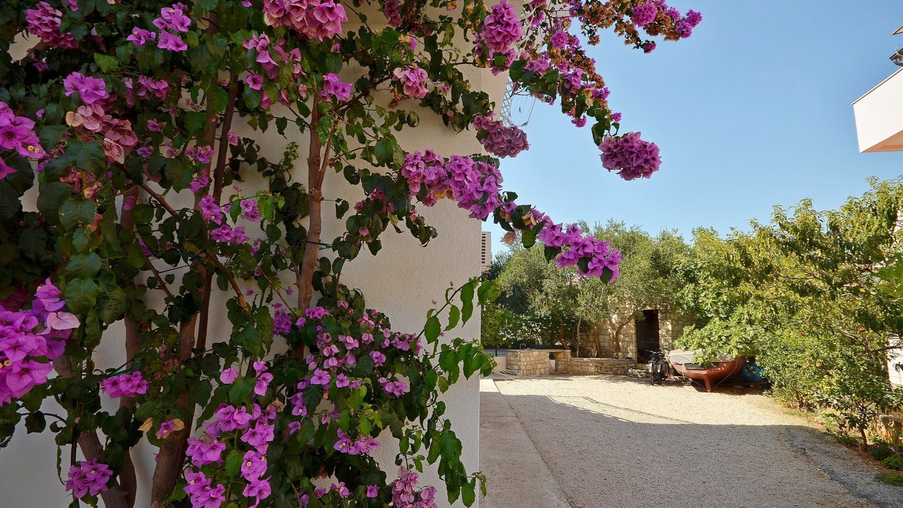 Photo of Outdoor in Srima
