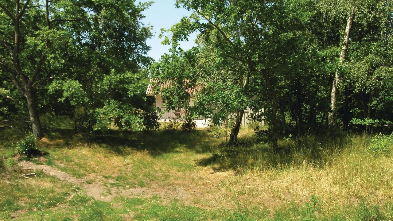 Photo of Others in Boderne