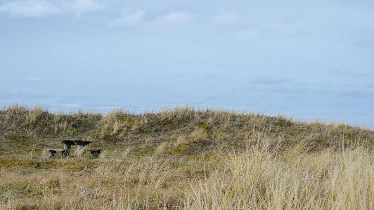 Photo of Others in Aalbaek