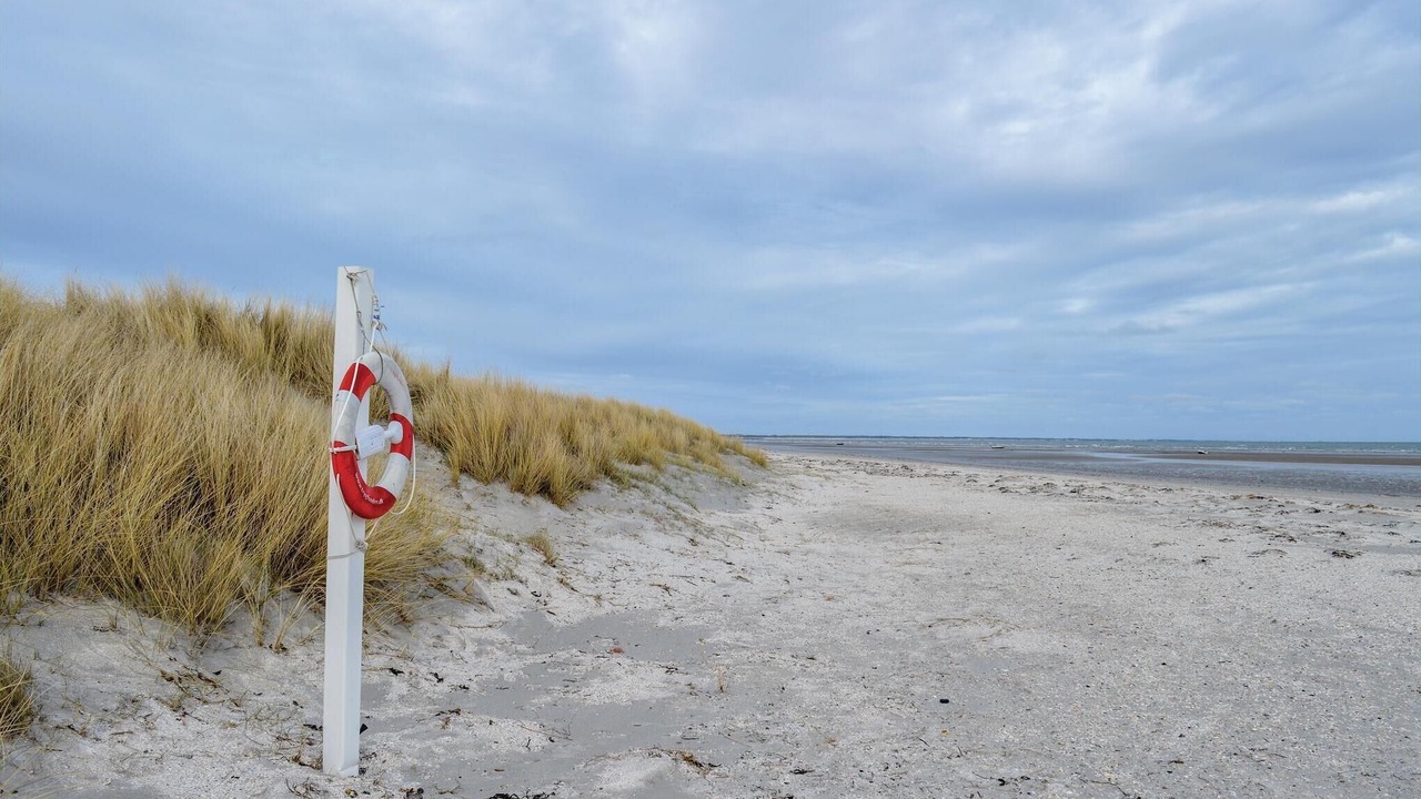 Photo of Others in Aalbaek