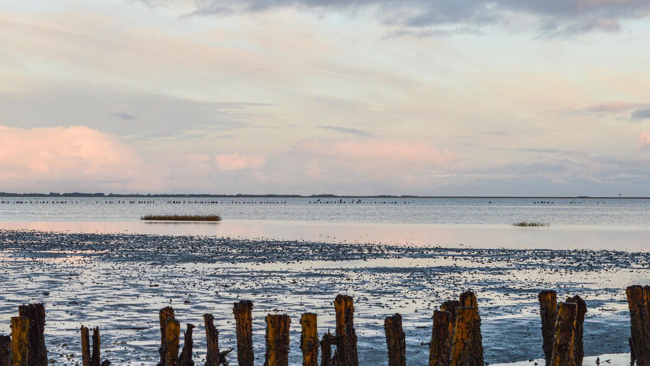 Photo of Others in Bolilmark