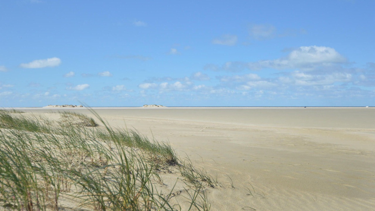 Photo of Others in Bolilmark