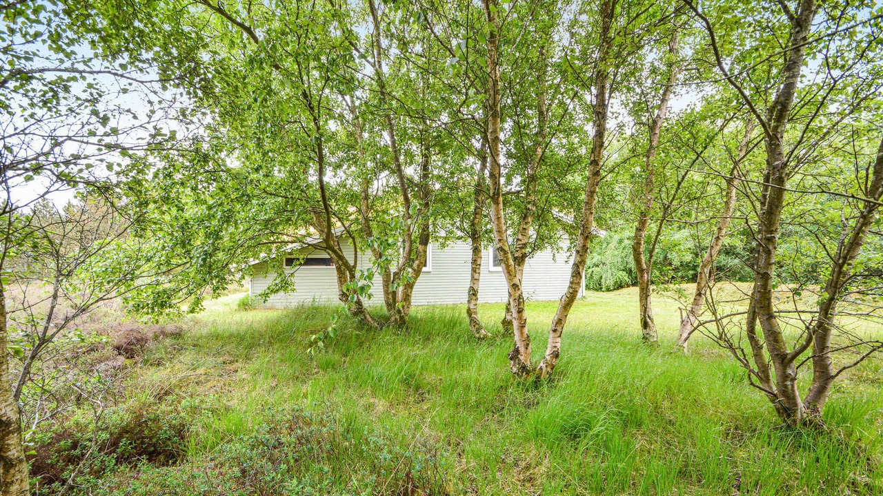 Photo of Others in Bolilmark