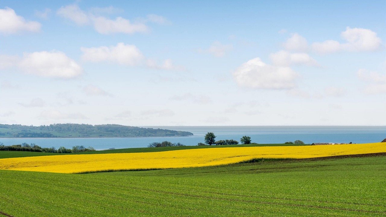 Photo of Bedroom in Knebel