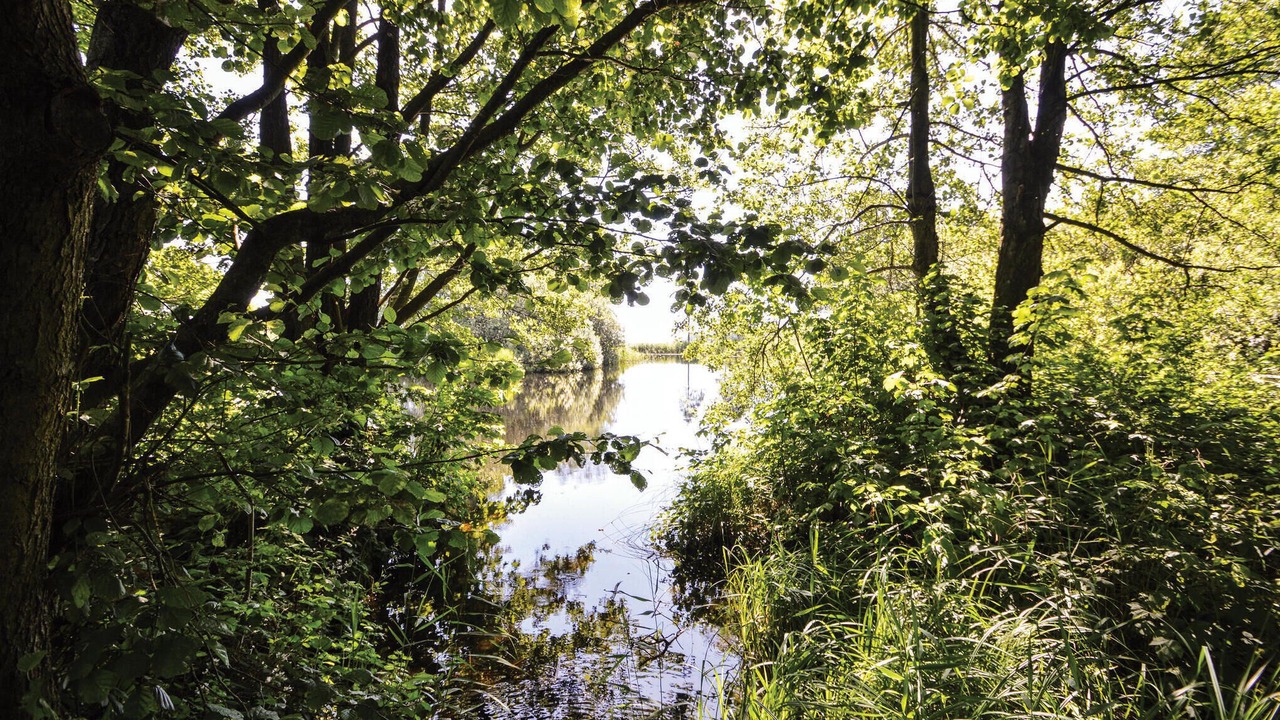 Photo of Others in Aabenraa