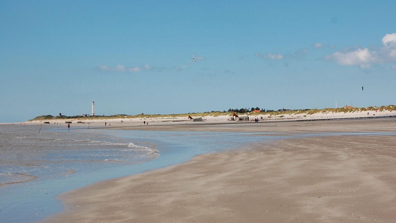 Photo of Others in Blavand Strand