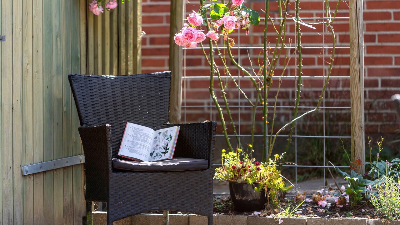 Photo of Others in Toftum