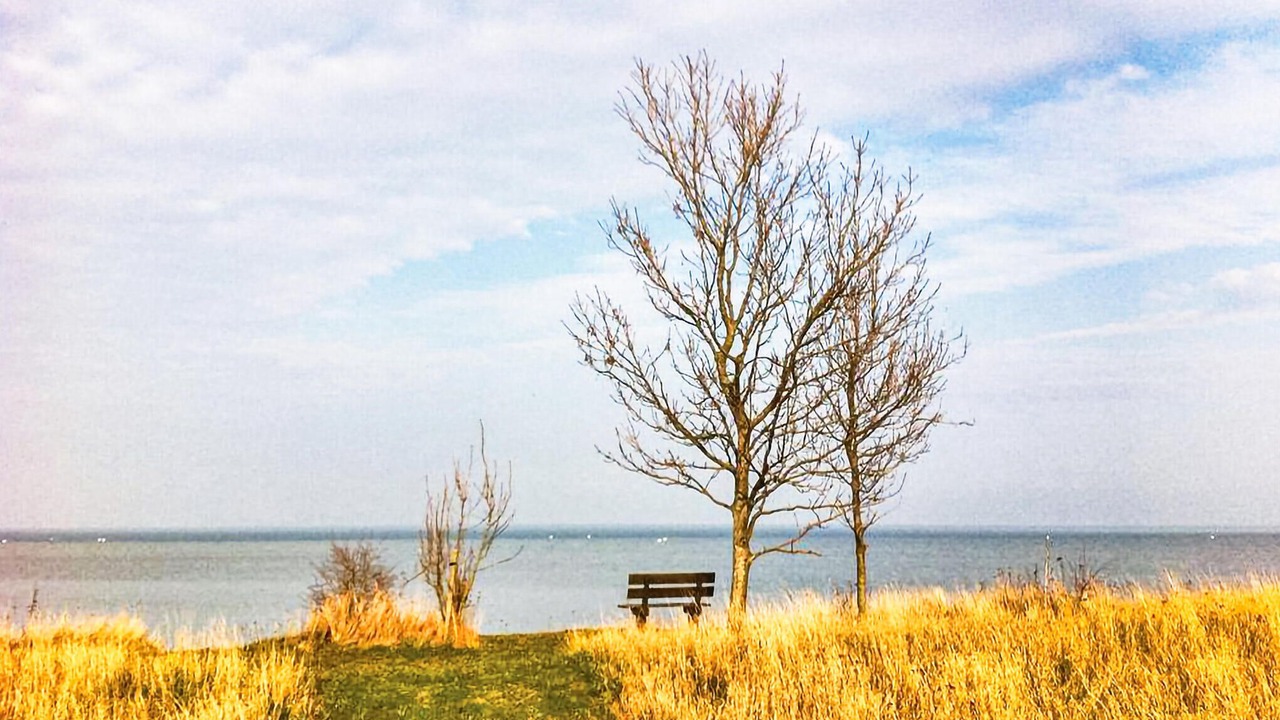 Photo of Others in Maribo