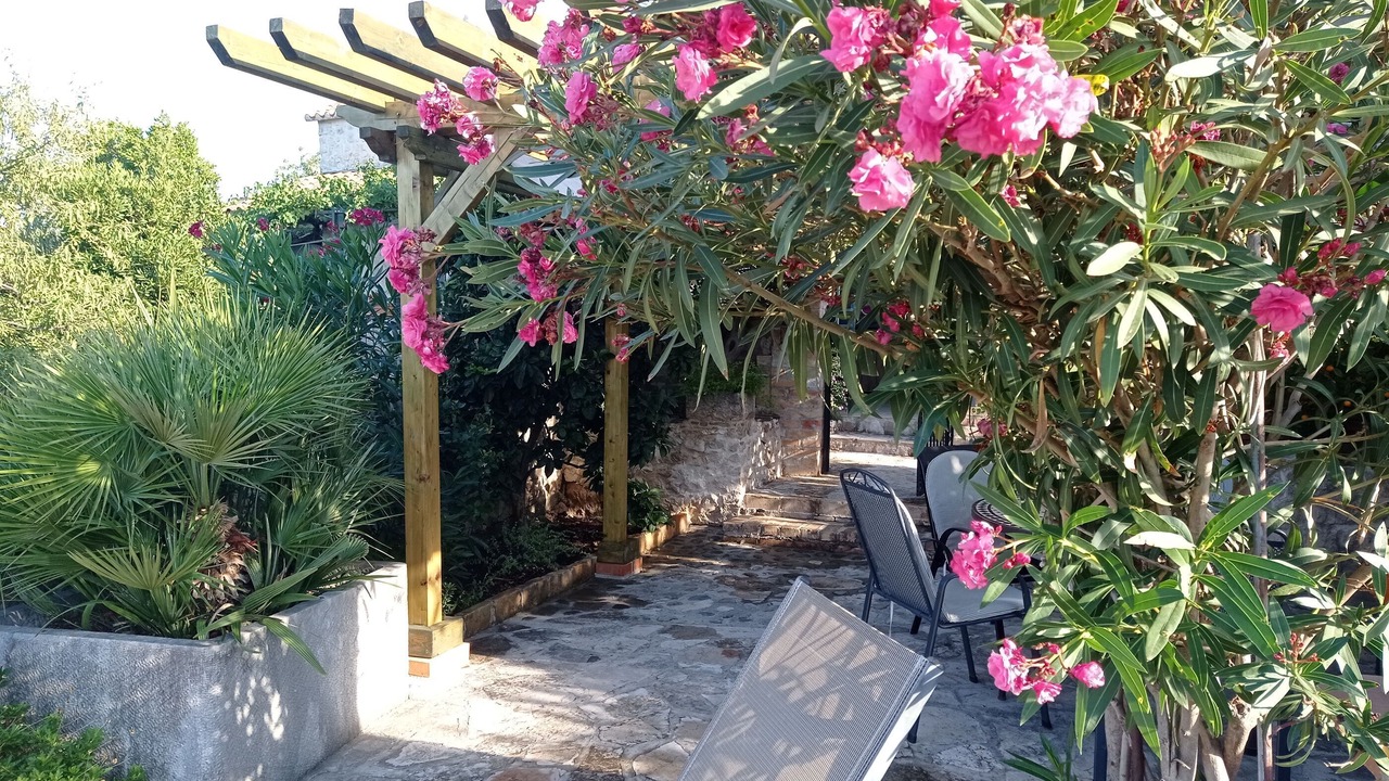 Photo of Outdoor in Igrane