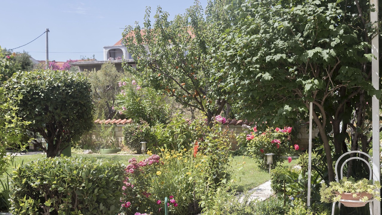 Photo of Outdoor in Vodice