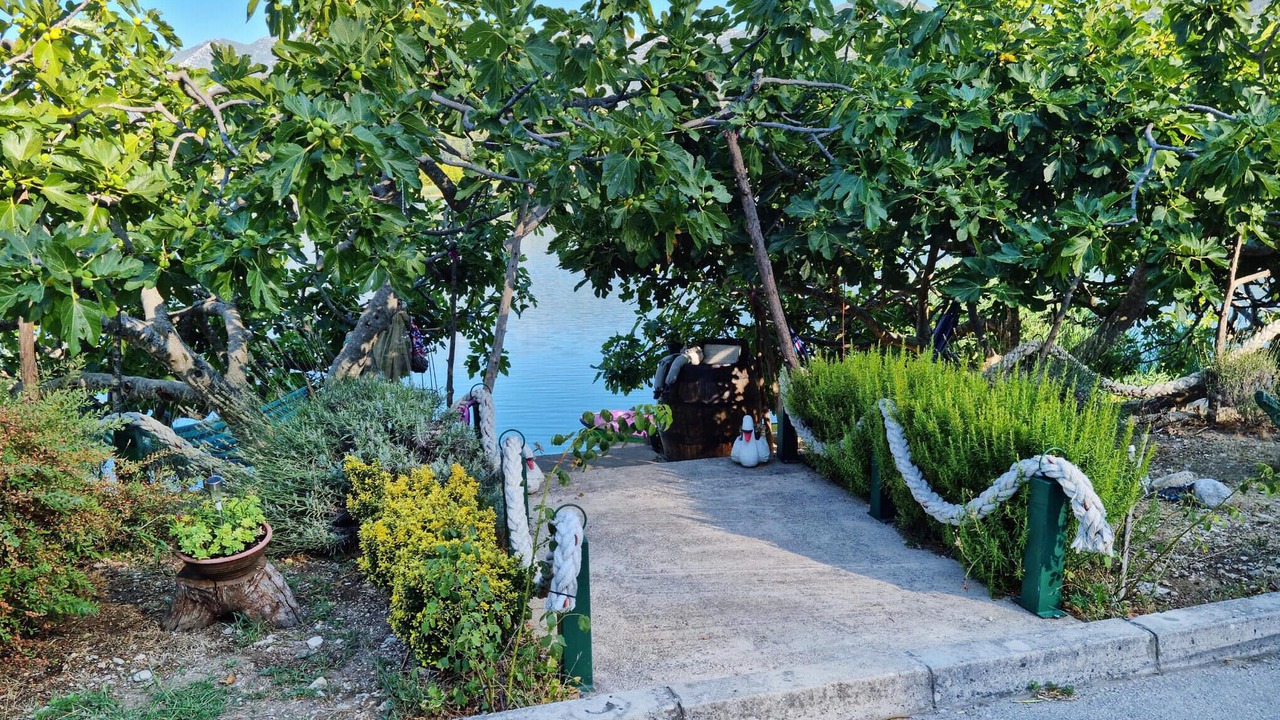 Photo of Others in Ploce