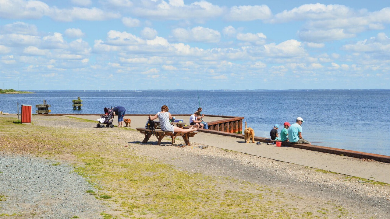 Photo of Others in Hvide Sande