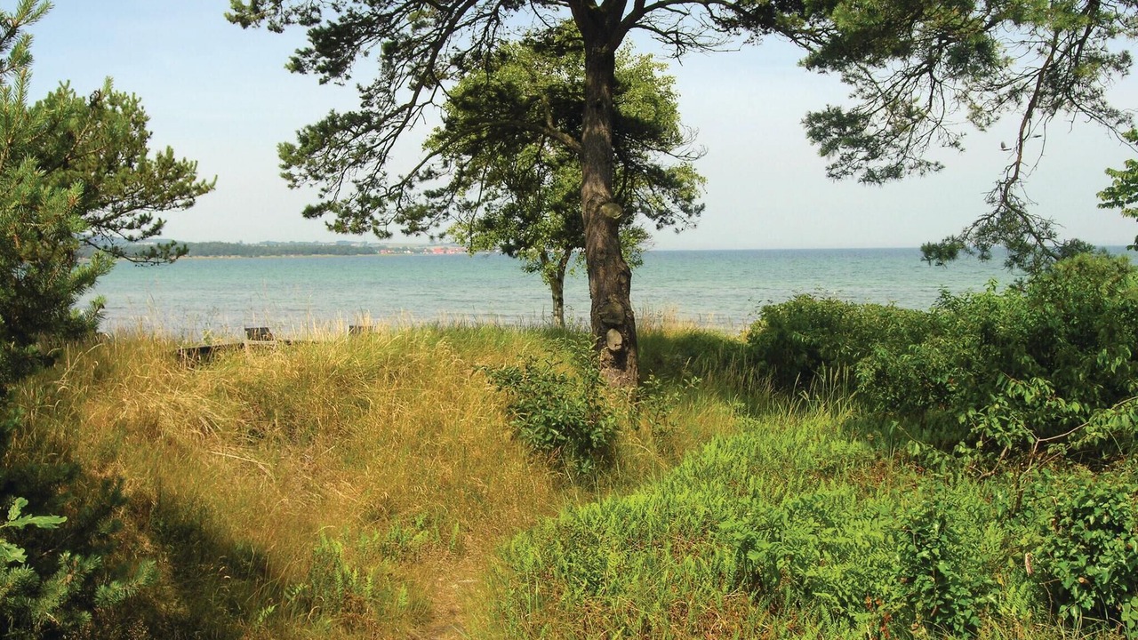 Photo of Others in Balka Strand