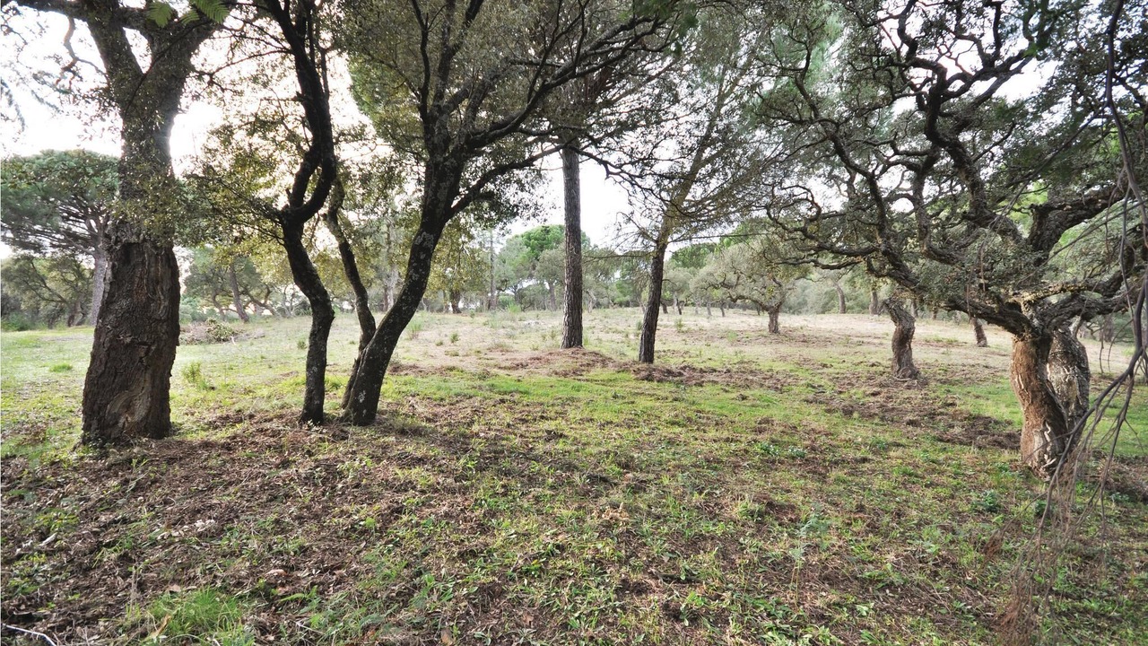 Photo of Others in Gassin