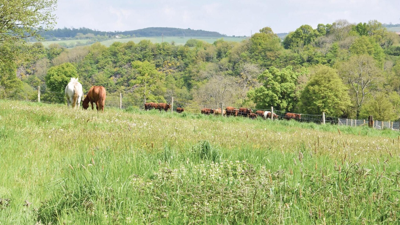 Photo of Others in Pont-d'Ouilly