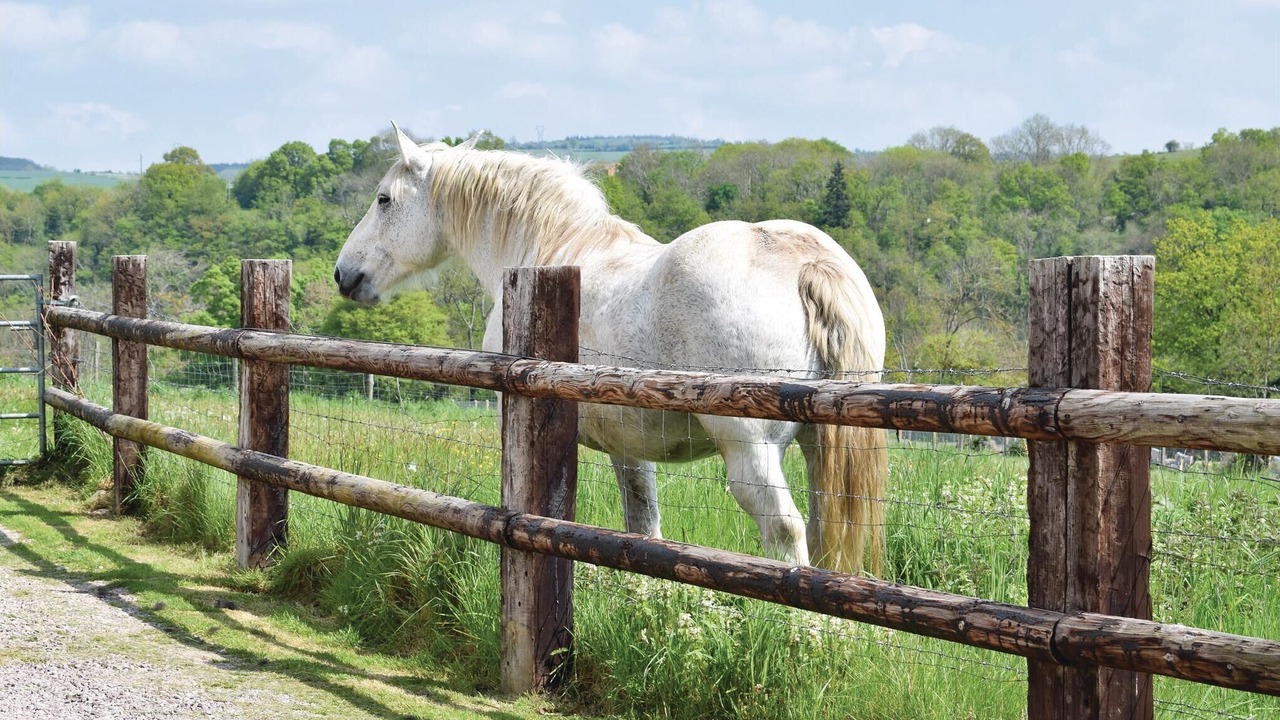 Photo of Others in Pont-d'Ouilly