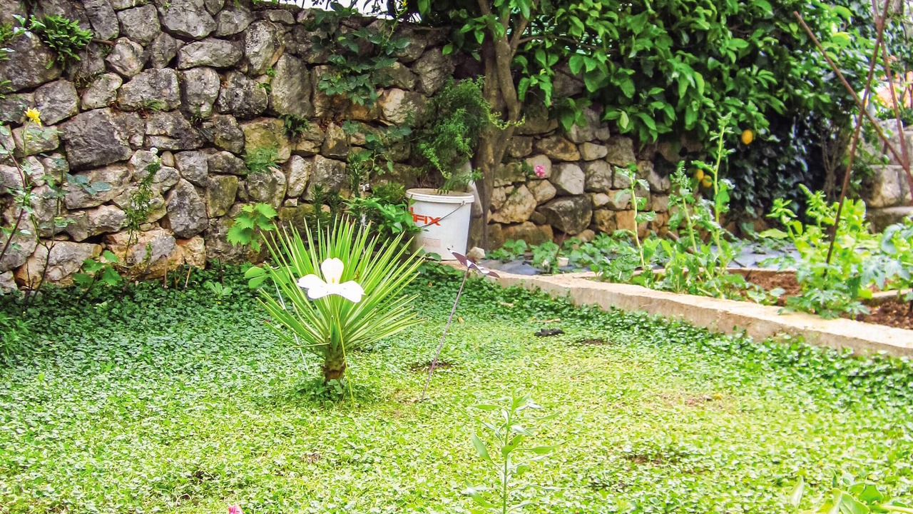 Photo of Others in Cavtat