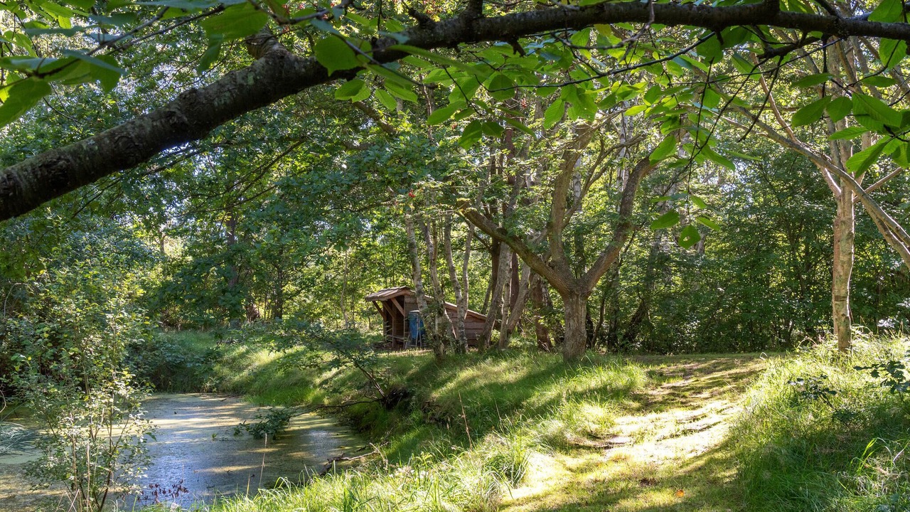 Photo of Others in Grena Strand