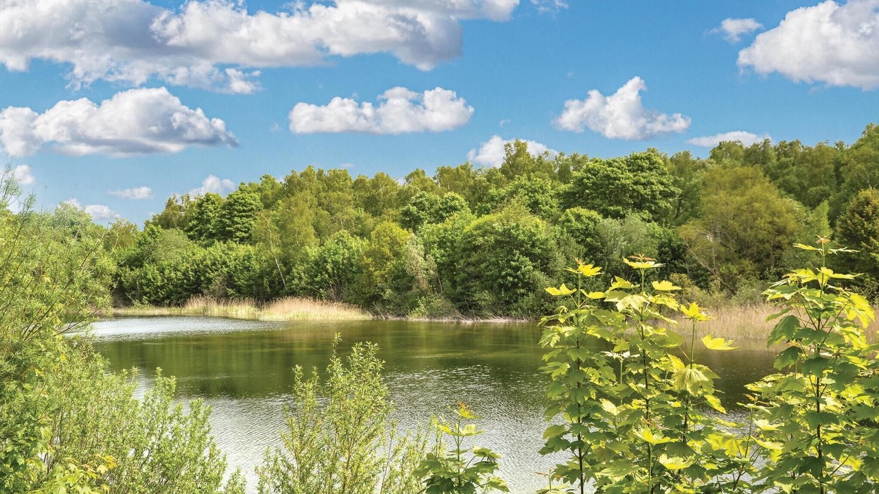 Photo of Others in Borup