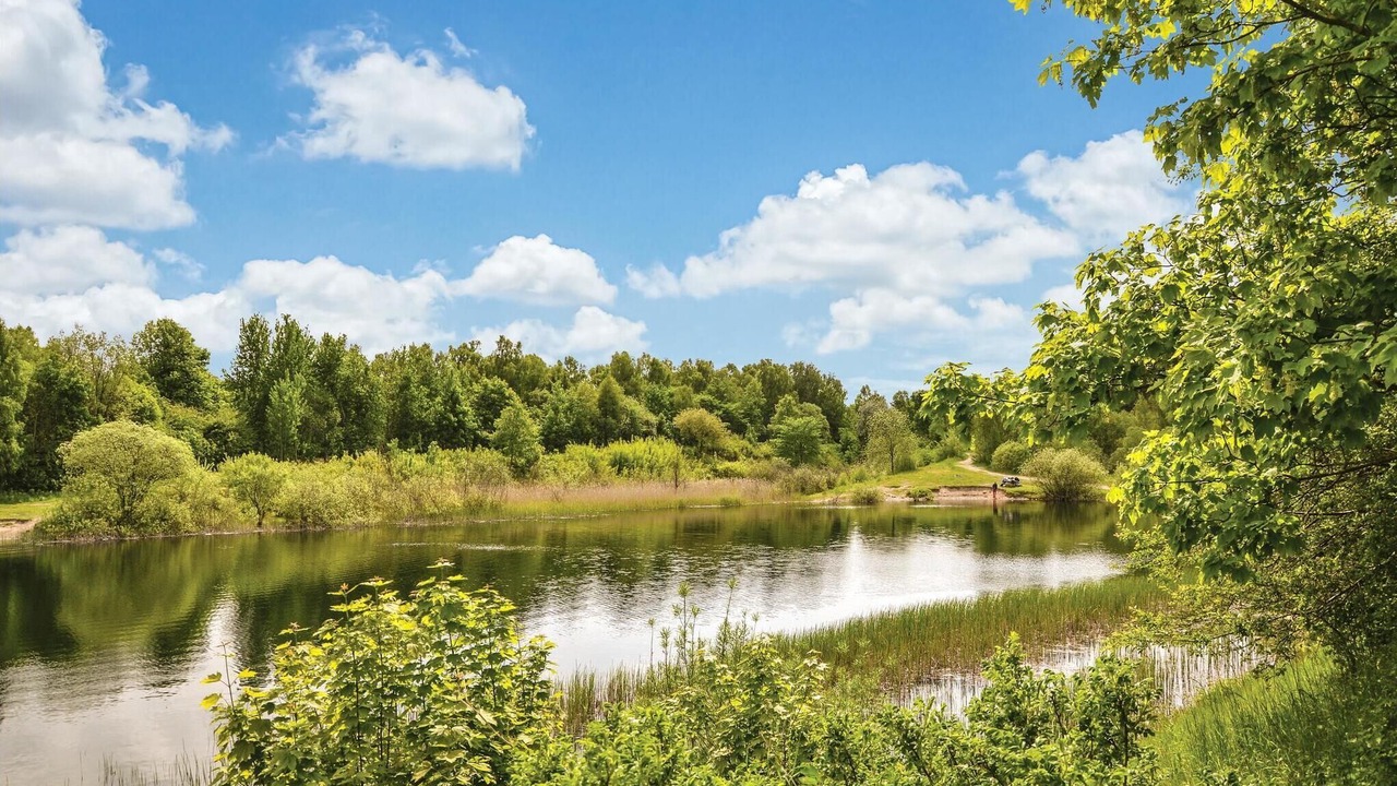 Photo of Others in Borup