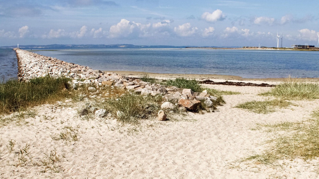 Photo of Others in Øer Strand
