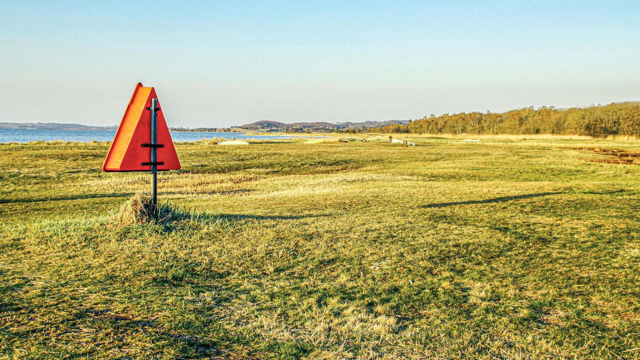 Photo of Others in Femmøller