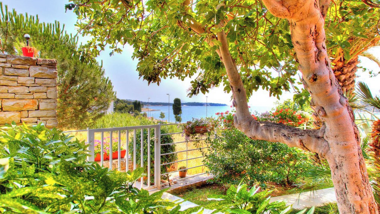 Photo of Outdoor in Pula