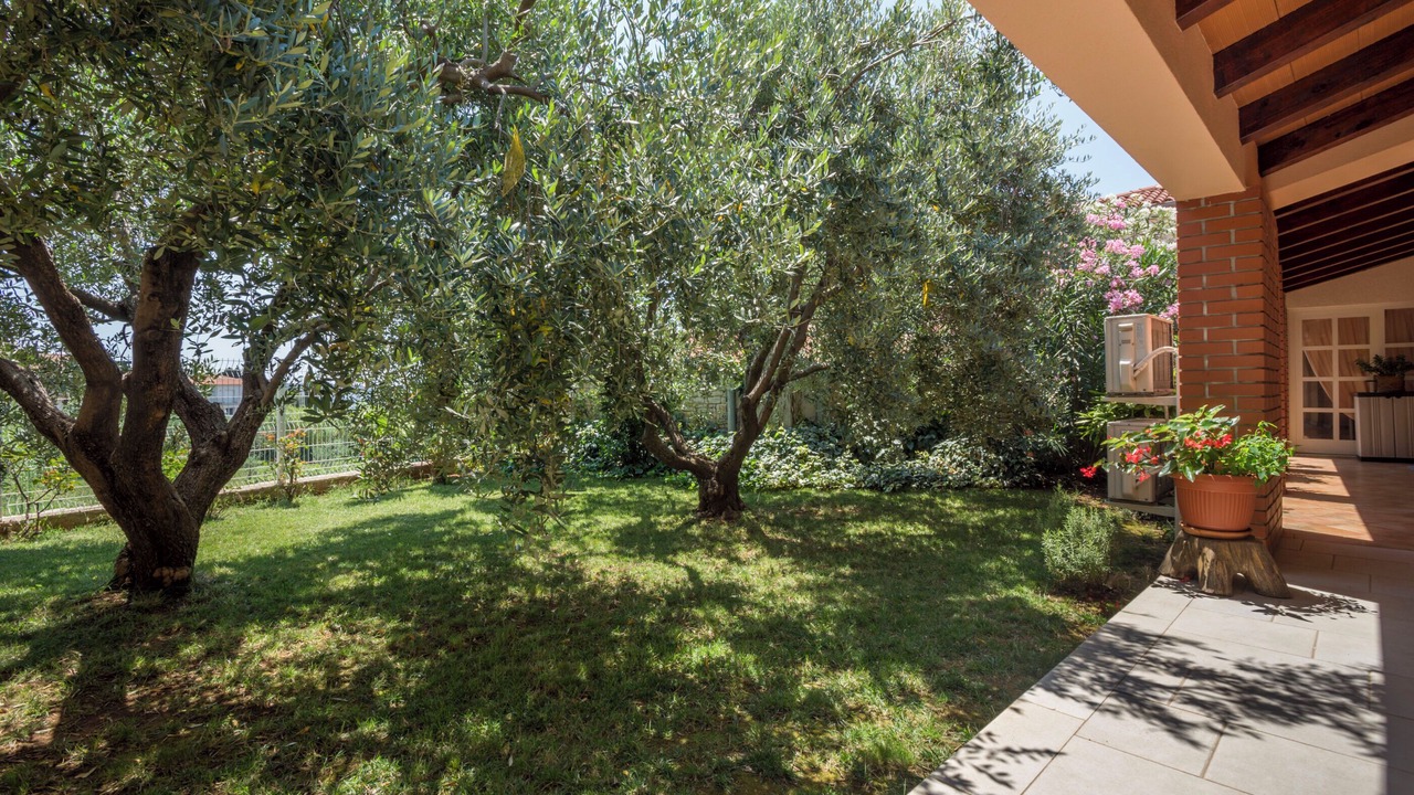 Photo of Outdoor in Pula
