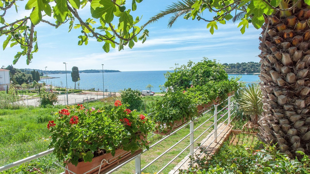 Photo of Outdoor in Pula