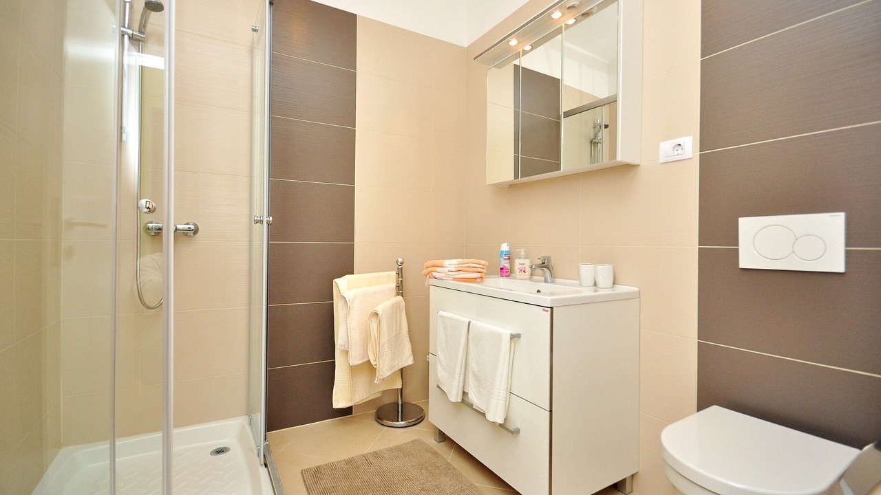 Photo of Bathroom in Pula