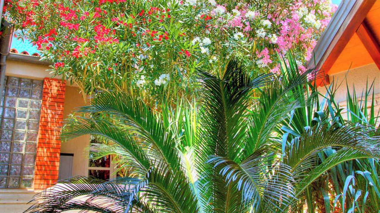 Photo of Outdoor in Pula
