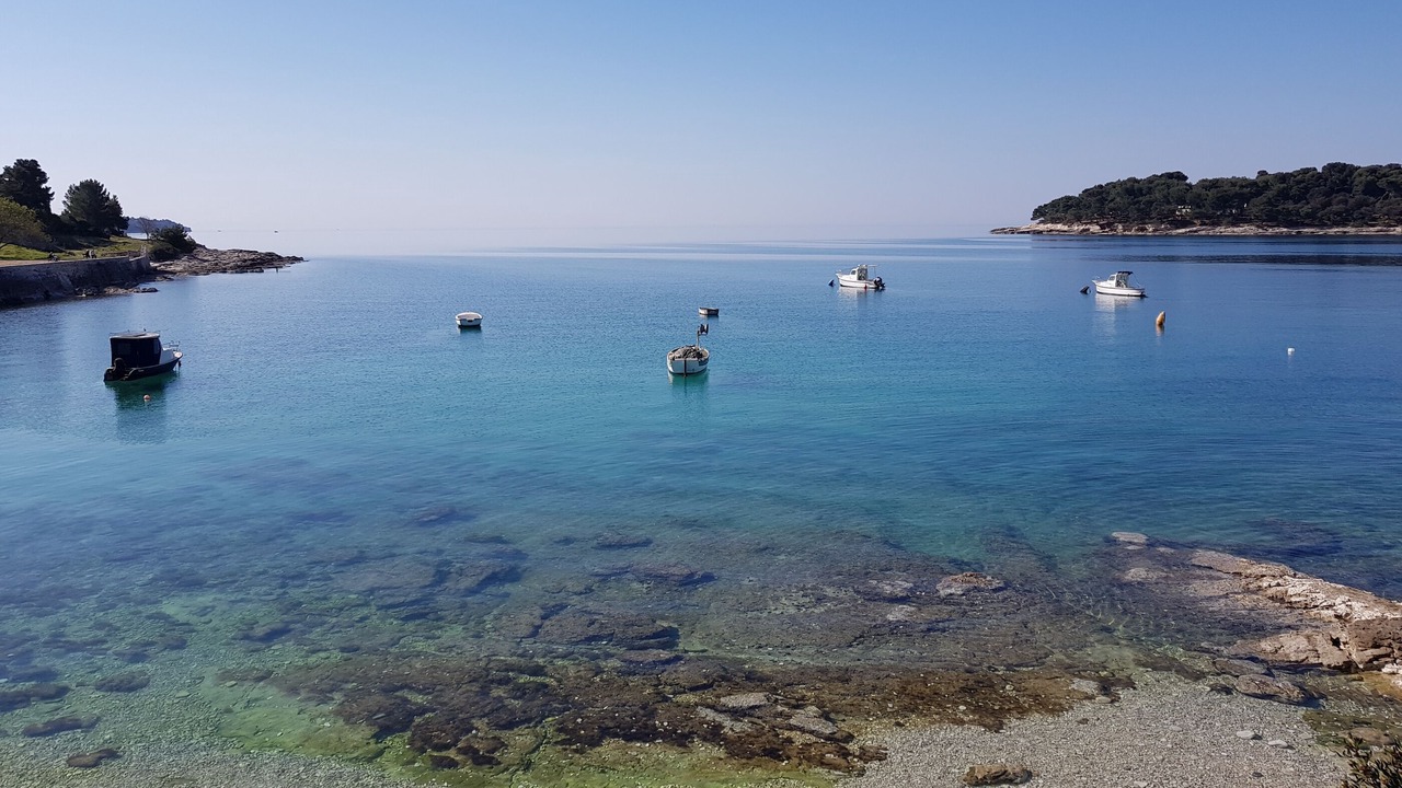 Photo of Others in Pula