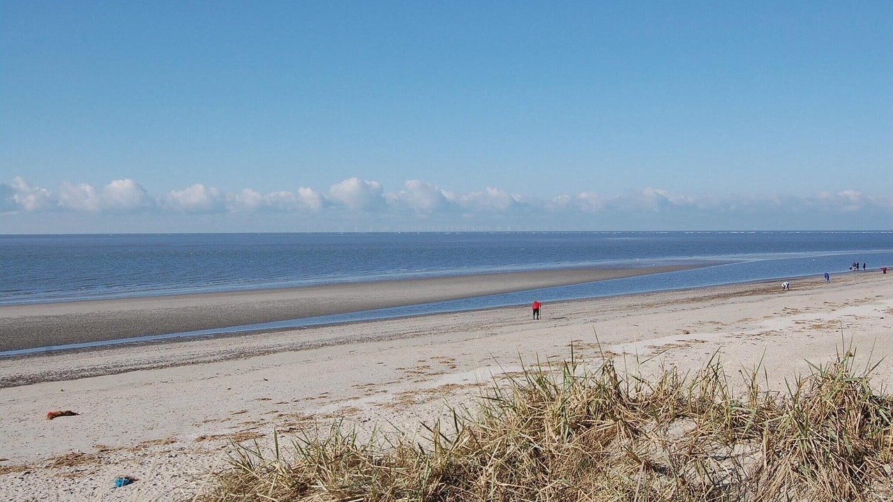 Photo of Others in Blavand Strand