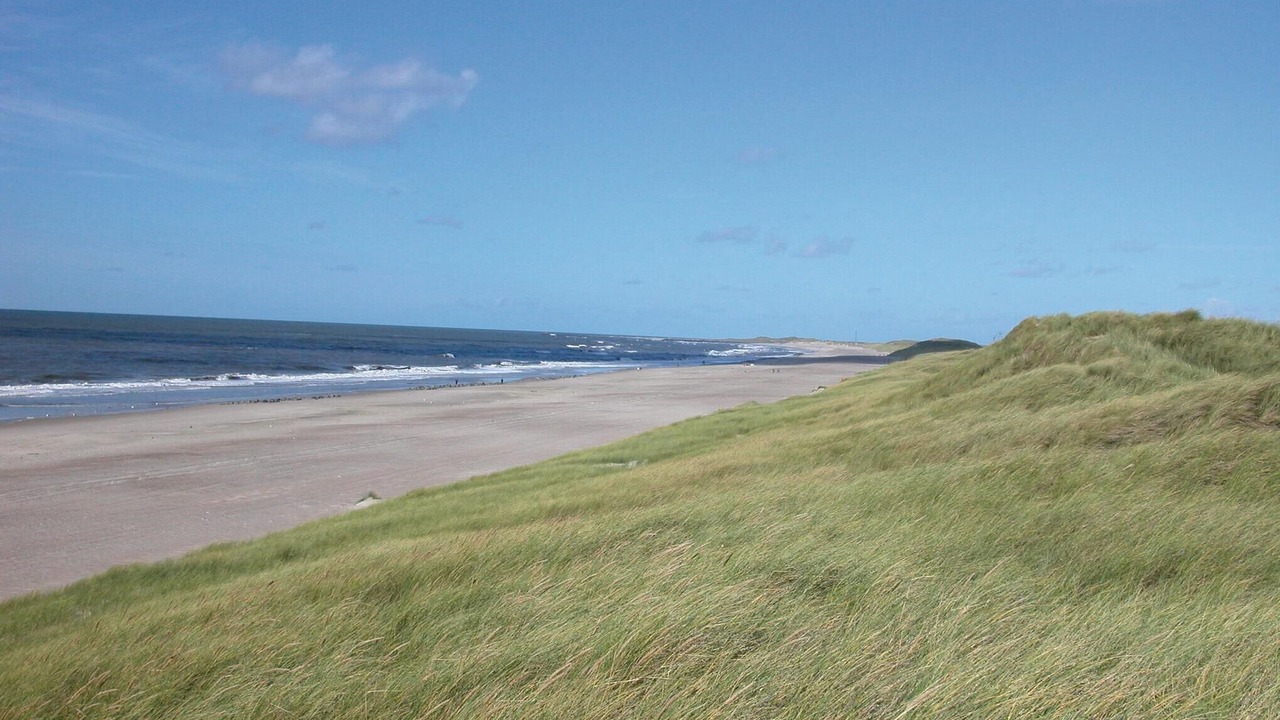 Photo of Others in Haurvig